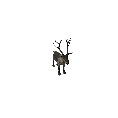 Reindeer_IP_FV_SLP (Fur2)